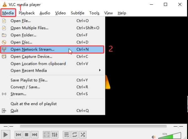 _images/VLC_open.png